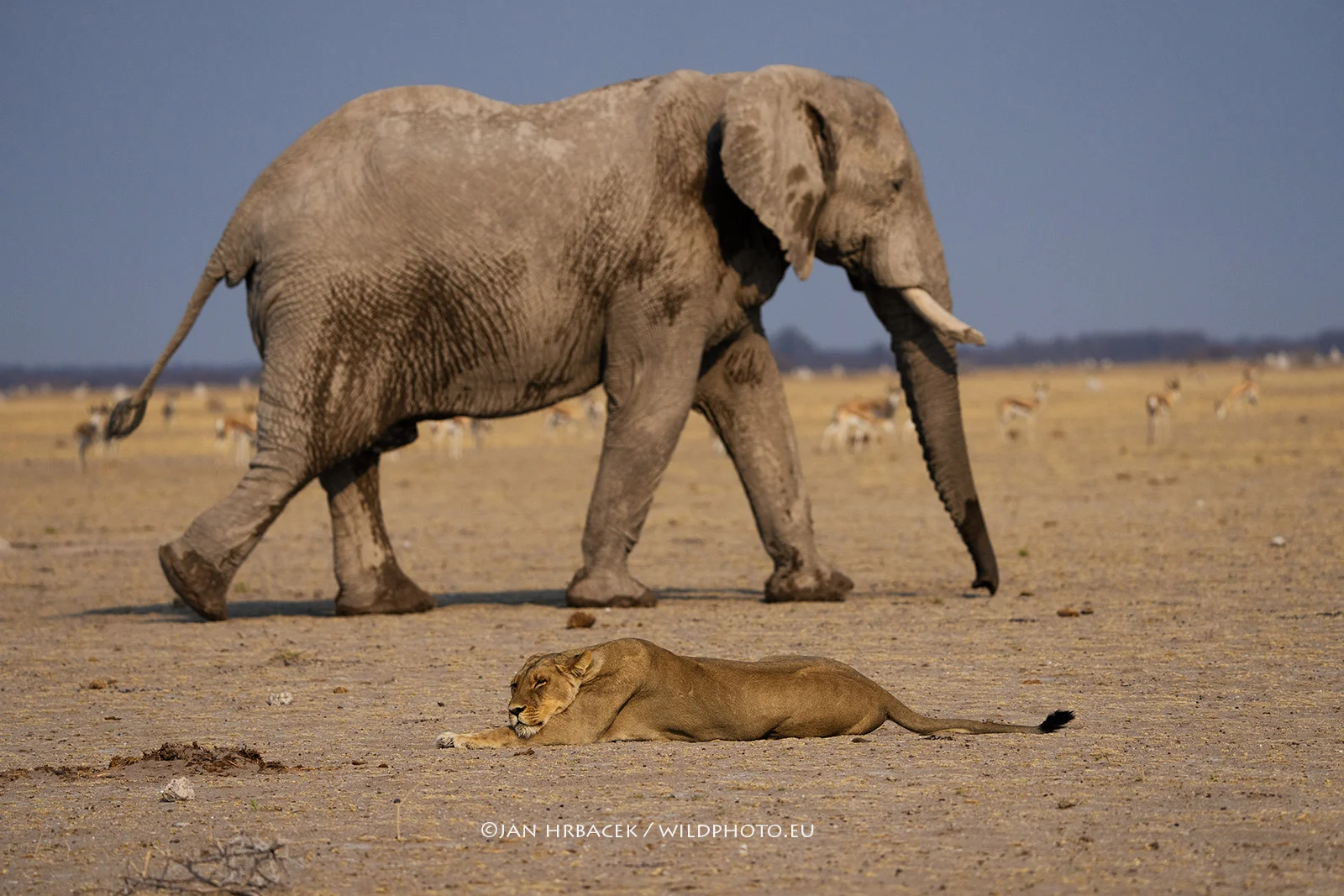 Nxai Pan NP, Botswana